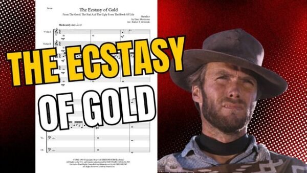 The Ecstasy of Gold | Ennio Morricone | Orquestra de Cordas